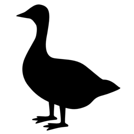 Goose
