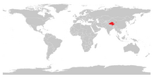 Yak (Bos mutus).png