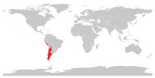 Guanako (Lama guanicoe).png