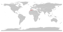 Cuviergazelle (Gazella cuvieri)-0.png