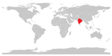 Vierhornantilope (Tetracerus quadricornis).png