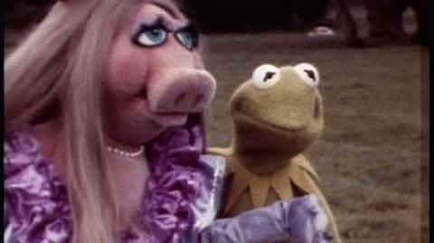 1979 Muppet Movie Camera Test - Part Two
