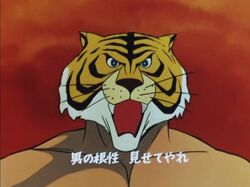 Tiger Mask (1969 anime), Tiger Mask Wiki