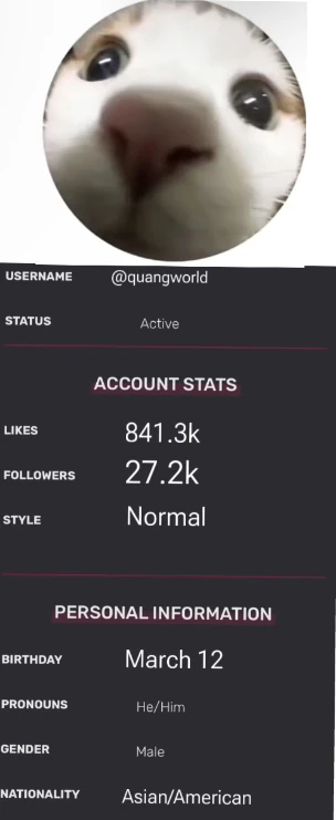 Quang World Tiktok Wiki Fandom