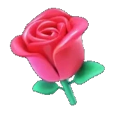 Rosa | Wiki TikTok | Fandom