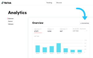 Blank. TikTok Analytics Profile (@officialblankdot) by