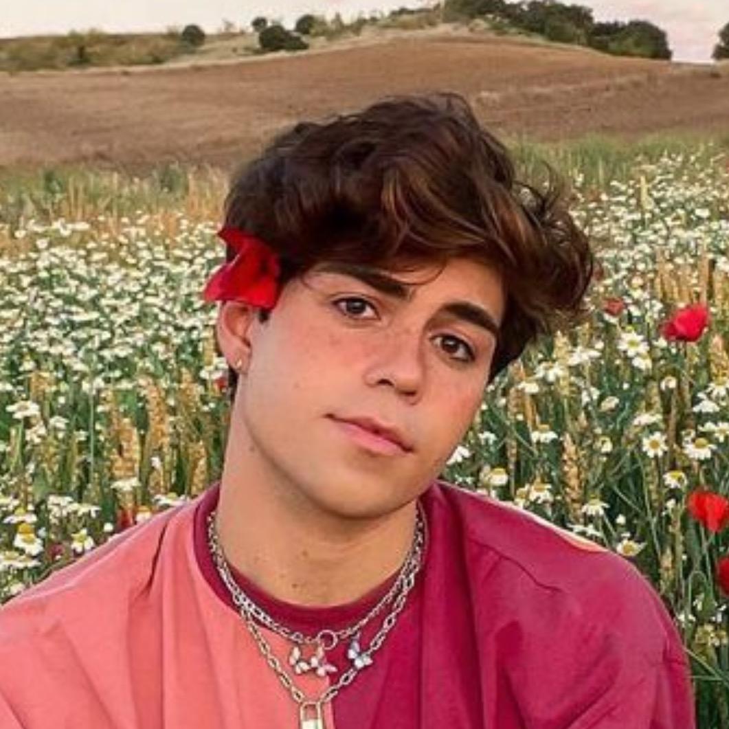 Benji Krol TikTok Wiki Fandom