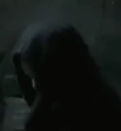 Mrs. Bouchard in Dark Shadows.