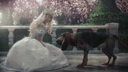 The White Queen with Bayard the Bloodhound.