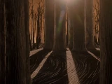 Hinterlands