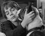 Frankenweenie.jpeg (41 KB)