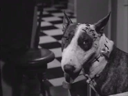 Frankenweenie1.jpeg (26 KB)