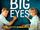 Big Eyes (song)