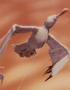 Additional Voices in James and the Giant Peach.