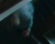 Asylum Patient in Alice Through the Looking Glass.