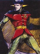 Robin Costume 01-min.jpg (103 KB)