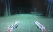 Dual Shotguns in TS2.