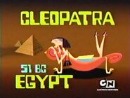 Larry's computer displaying Cleopatra.