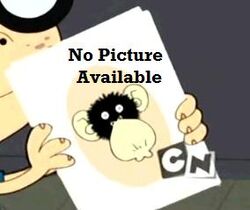 No Picture