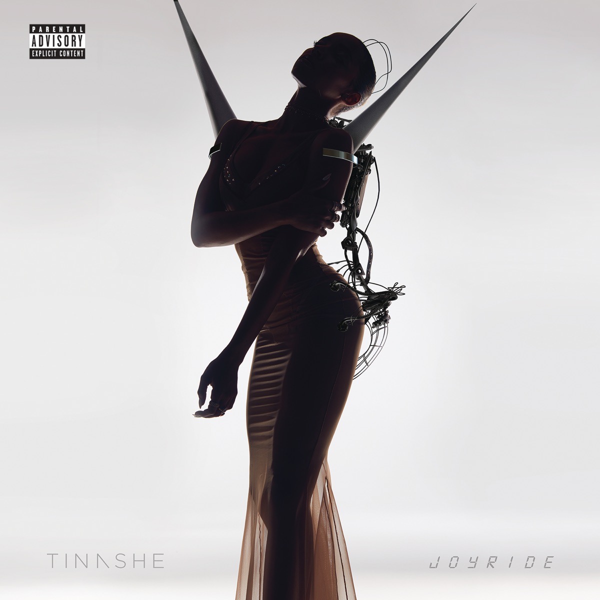 TINASHE SONGS FOR YOU 激レアCD TINASHE SONGS FOR YOU 激レアCD