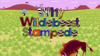 Why Wildebeest Stampede Tinga tinga tales Wiki Fandom
