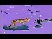 cheetah-tinga-tinga-tales-wiki-fandom