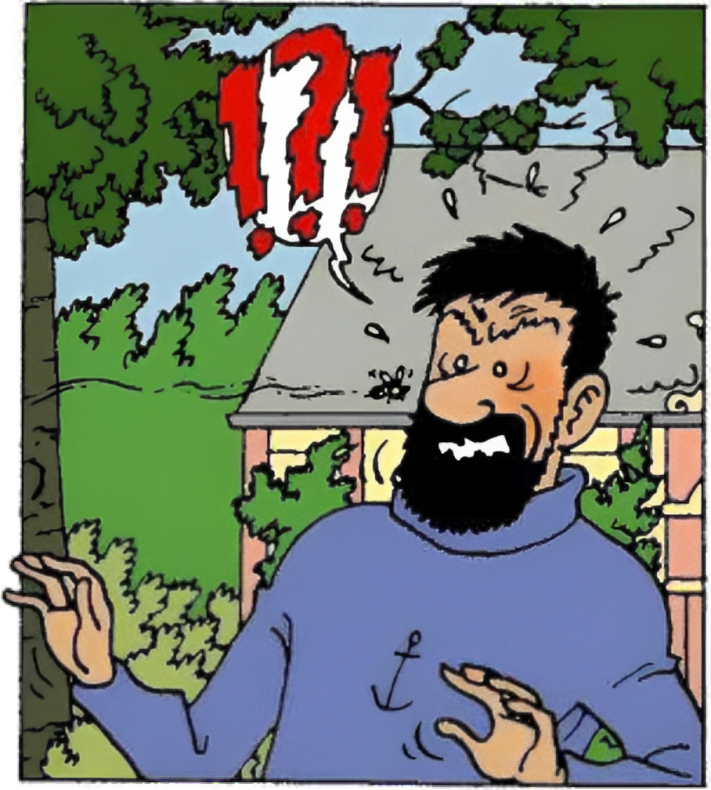 List Of Captain Haddock S Curses Tintin Wiki Fandom