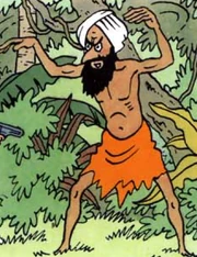 The Fakir as seen in the book series