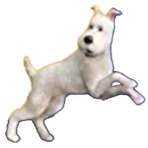 Snowy in the The Adventures of Tintin: The Secret of the Unicorn.