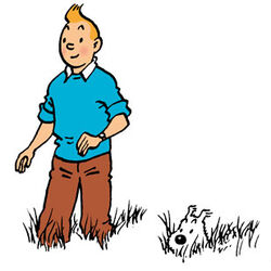 How Tintin became an unlikely poster boy for the far right