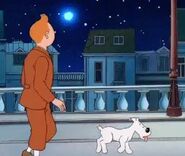 Tintin observes at the meteorite, thinking that he never noticed that star before.