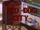Red Dog City