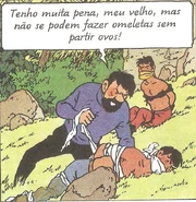 Sondenisians Bound and Gagged by Tintin and Captain Haddock 2