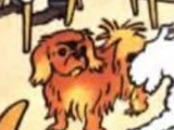 Chang (Tintin in Tibet)