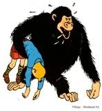 Rankodod.jpg (5 KB) Tintin being carried by Ranko