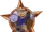 Badge-picture-0.png