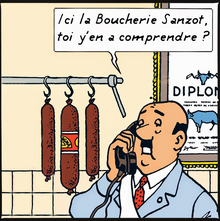 Sanzot