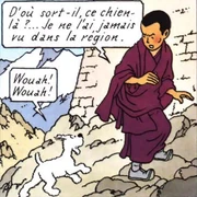 Lobsang rencontrant Milou.