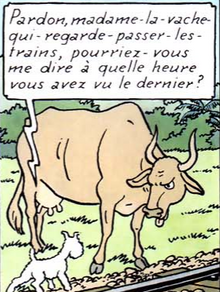Madame-la-vache-qui-regarde-passer-les-trains