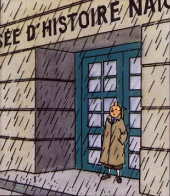 klow tintin Musée d'histoire naturelle de Klow | Wiki Tintin