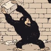 Ranko jetant une pierre.