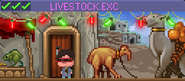 Decorated Livestock Exc