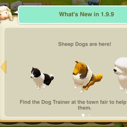 Tiny sheep dog sales