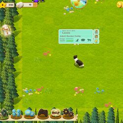 Tiny sheep dog store