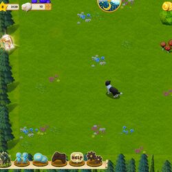 Tiny sheep dog cheap