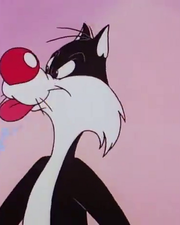 Silvestre Y Piolin Png El Gato Silvestre Tiny Toons Wiki Fandom el gato silvestre tiny toons wiki