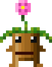 Jubokko