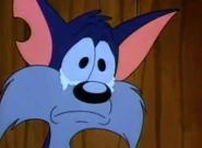 Furrball with tears in his eyes