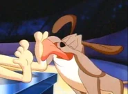 Barky Marky licks the soles of Miss Conduct's bare feet