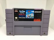 Tiny Toons Sports Challenge